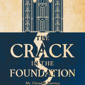 The Crack in the Foundation - Paperback PRE-ORDER